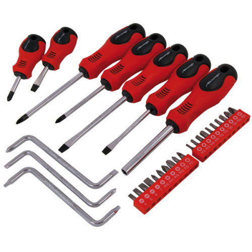 30pc Screwdriver & Bit Set With 25 Bits Hex Torx Phillips Pozi Slotted Star